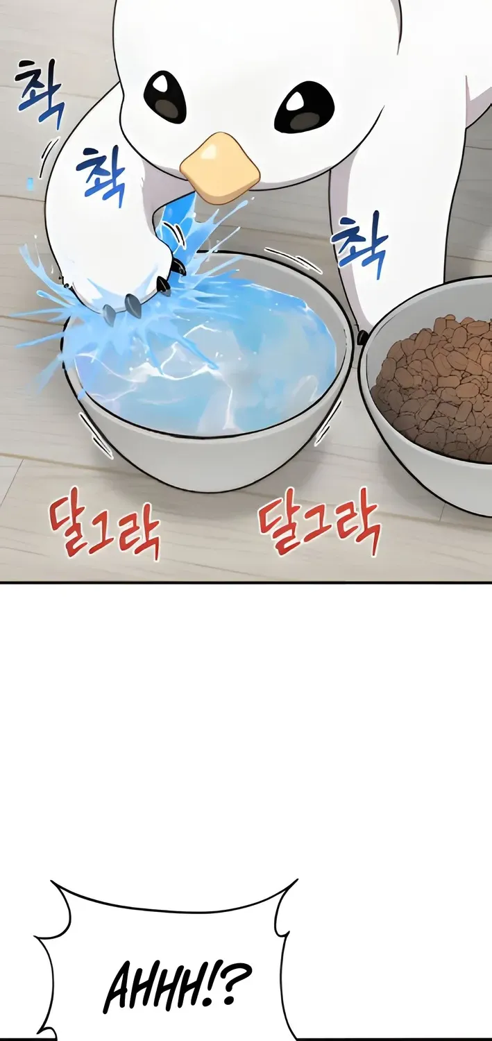 Hello, Fluffy Griffin! Chapter 2 page 58 - 