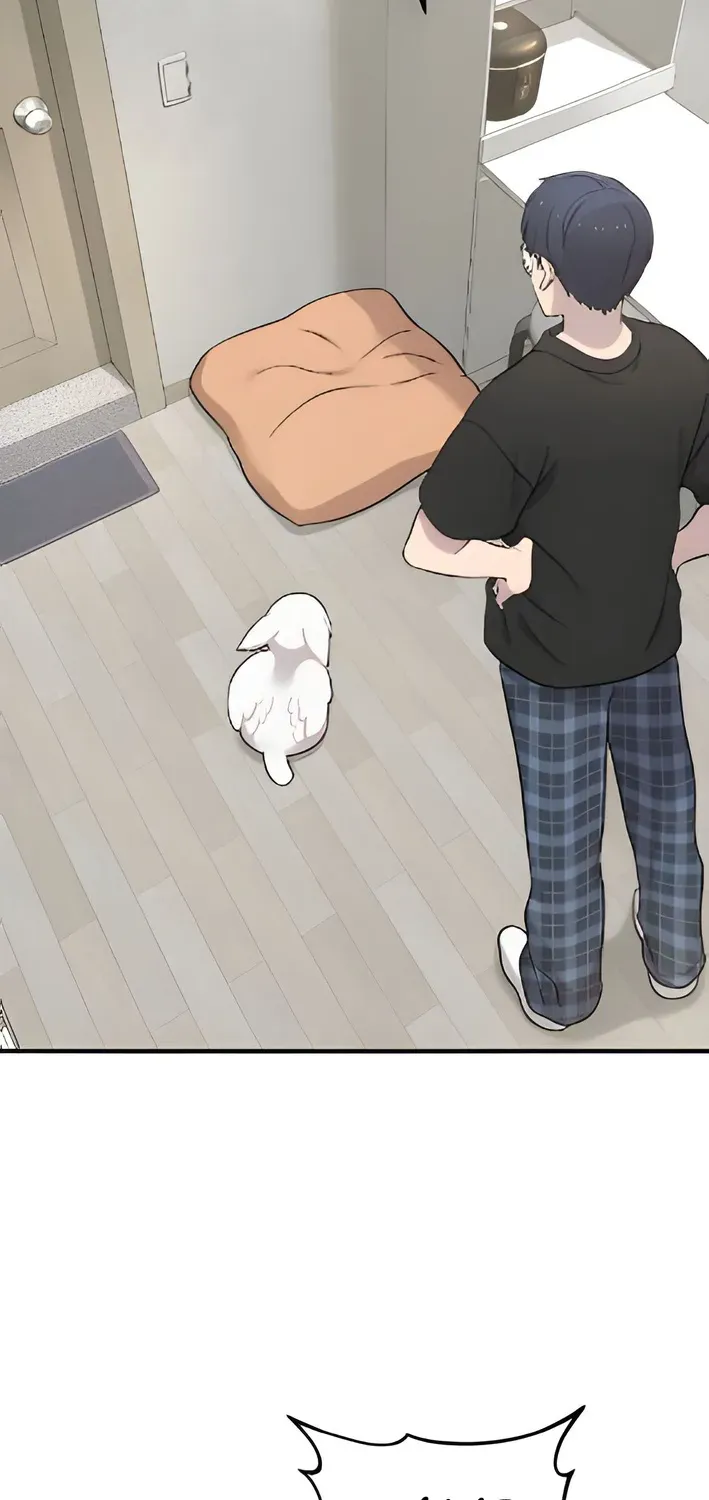 Hello, Fluffy Griffin! Chapter 2 page 71 - 