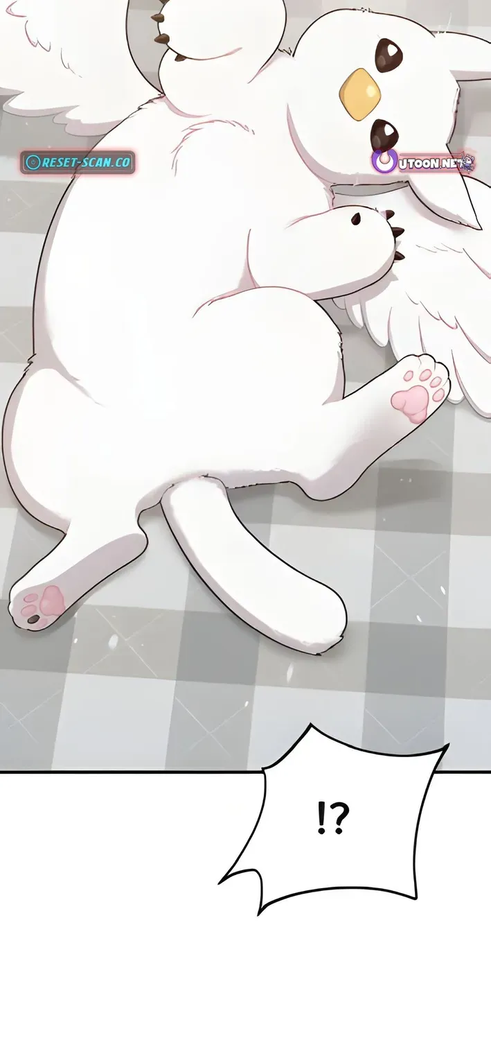Hello, Fluffy Griffin! Chapter 2 page 78 - 