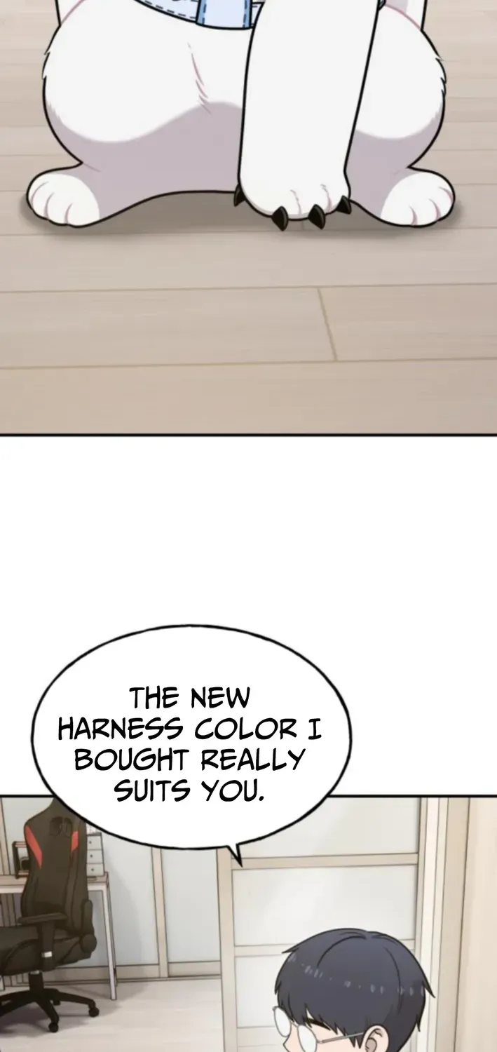 Hello, Fluffy Griffin! Chapter 20 page 27 - 