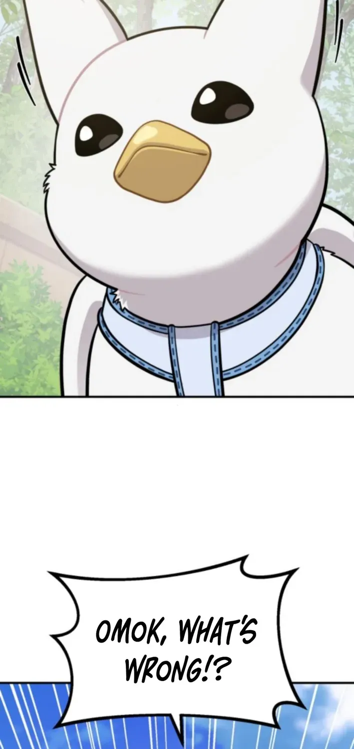 Hello, Fluffy Griffin! Chapter 20 page 38 - 