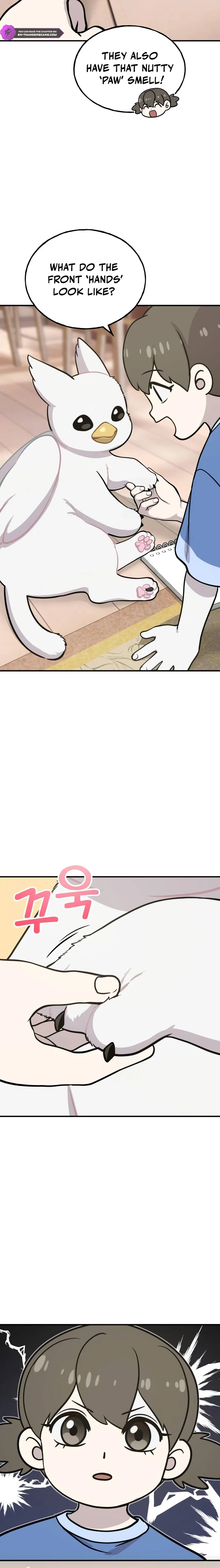 Hello, Fluffy Griffin! Chapter 24 page 25 - 