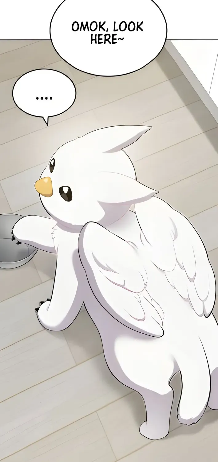Hello, Fluffy Griffin! Chapter 3 page 2 - 