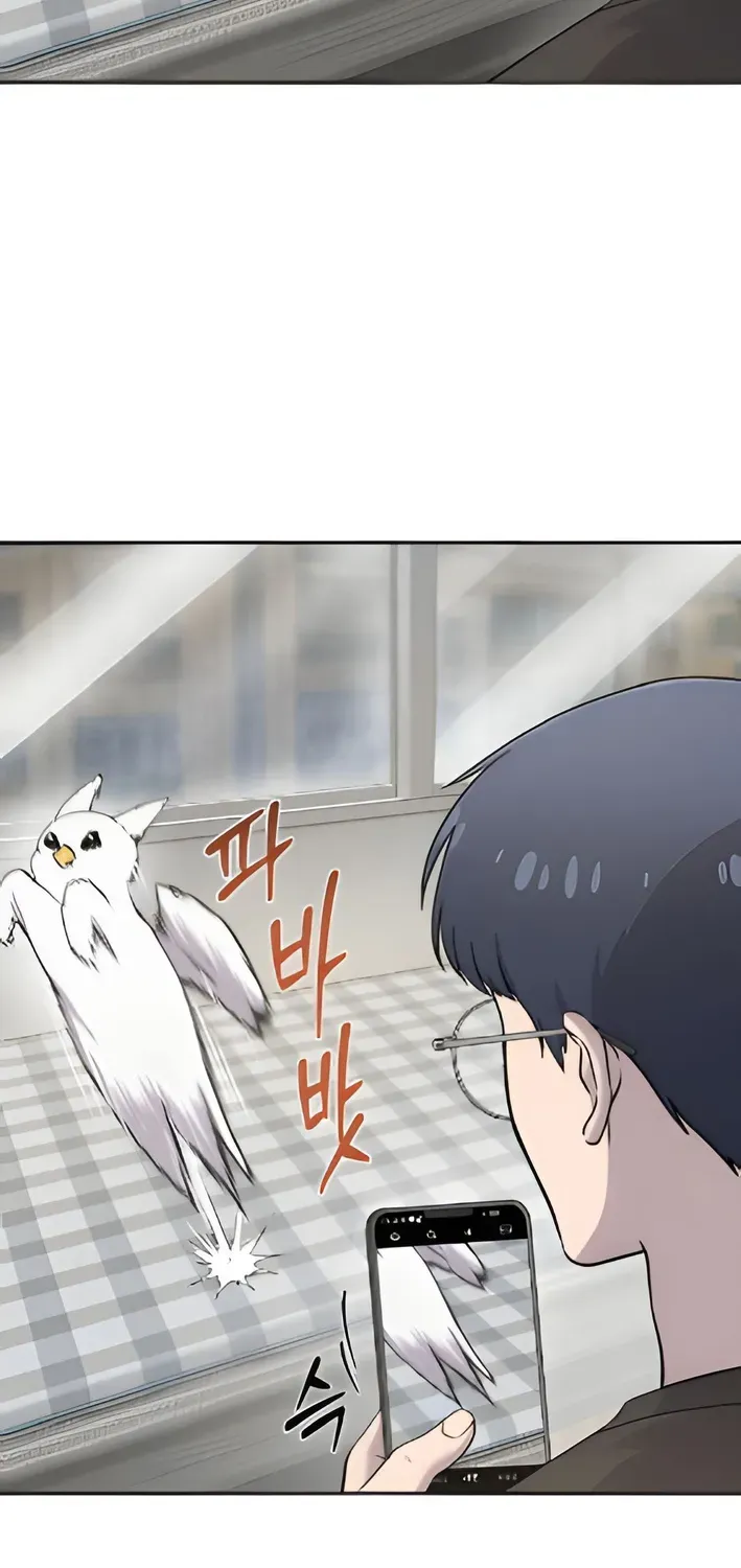 Hello, Fluffy Griffin! Chapter 3 page 12 - 