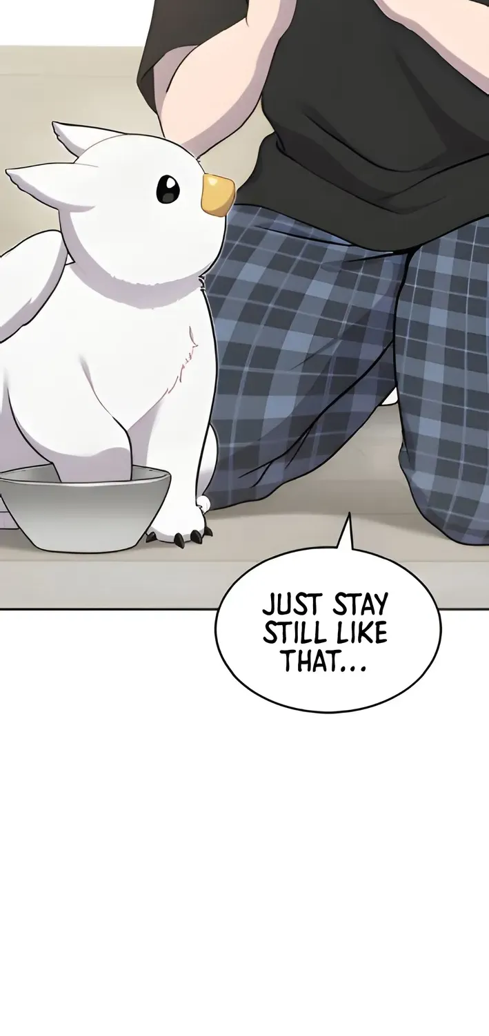 Hello, Fluffy Griffin! Chapter 3 page 4 - 