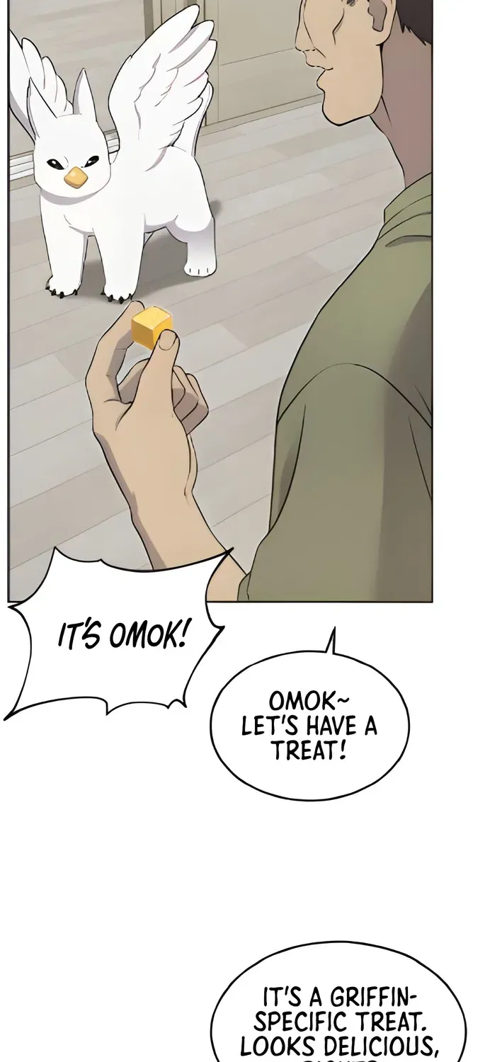 Hello, Fluffy Griffin! Chapter 3 page 43 - 