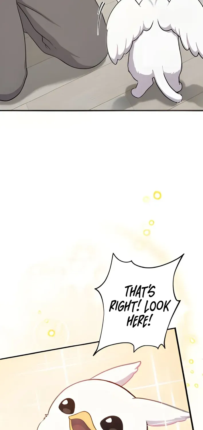 Hello, Fluffy Griffin! Chapter 3 page 46 - 