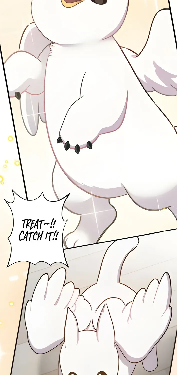 Hello, Fluffy Griffin! Chapter 3 page 47 - 