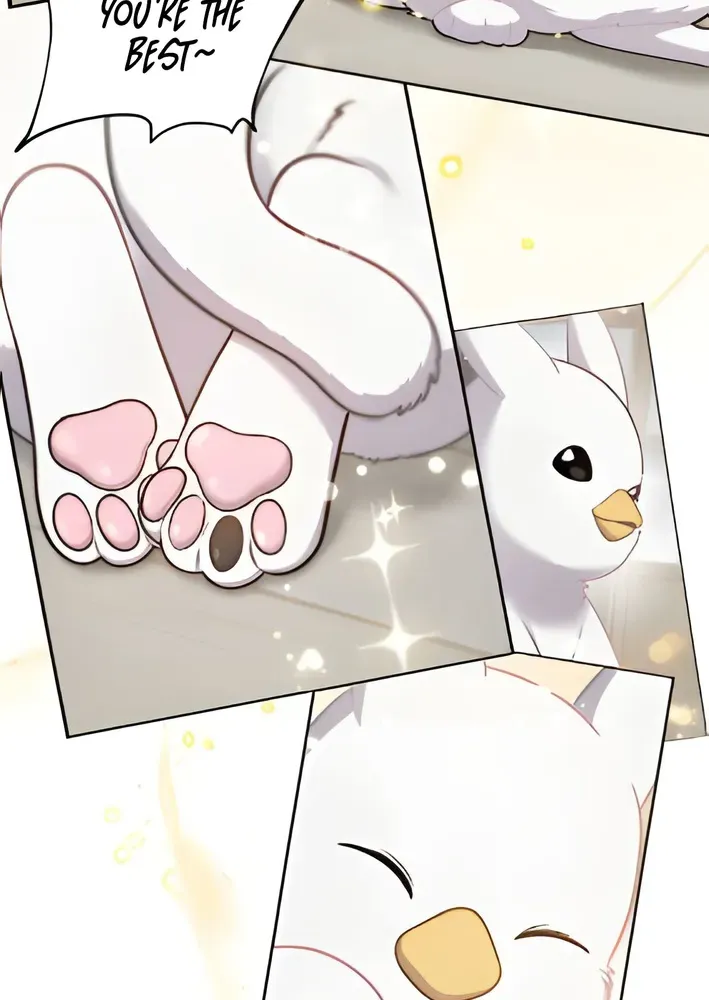 Hello, Fluffy Griffin! Chapter 3 page 49 - 