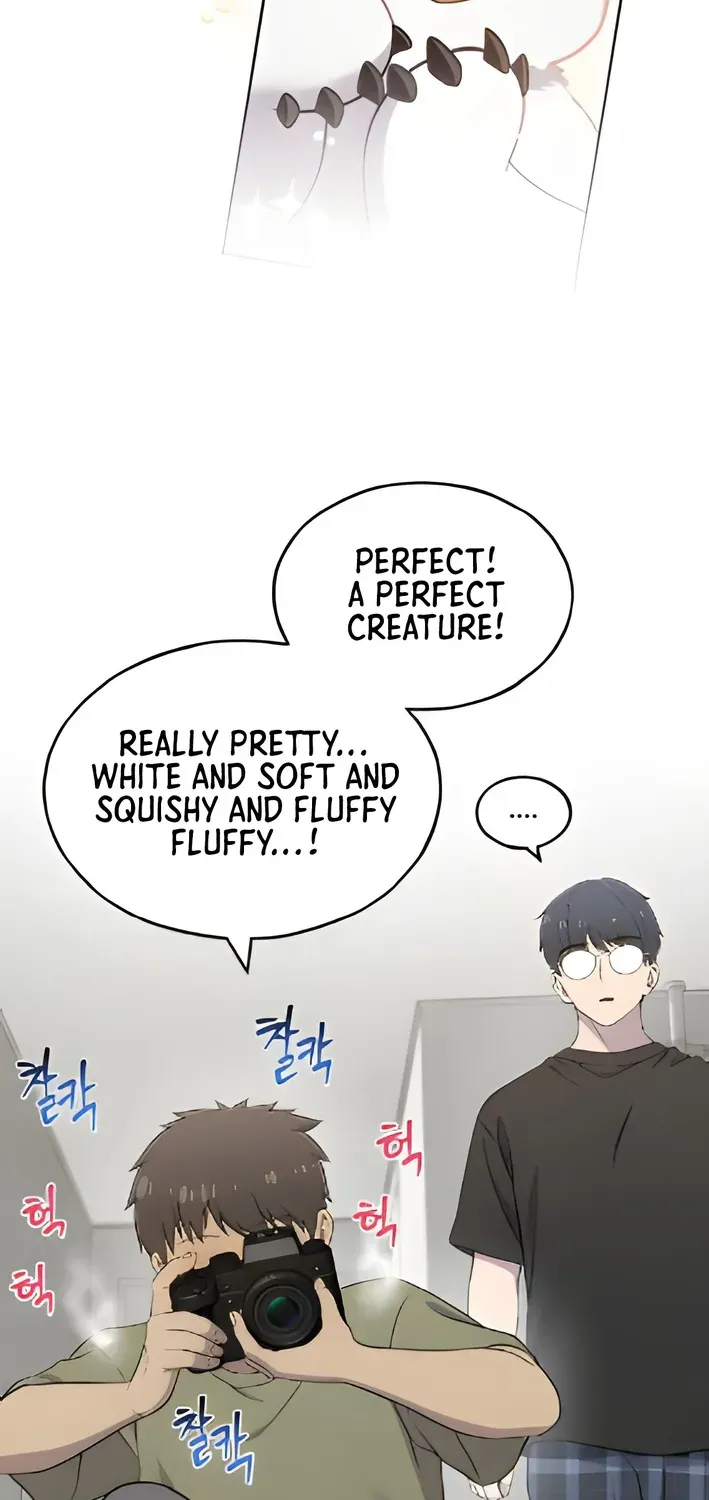 Hello, Fluffy Griffin! Chapter 3 page 50 - 