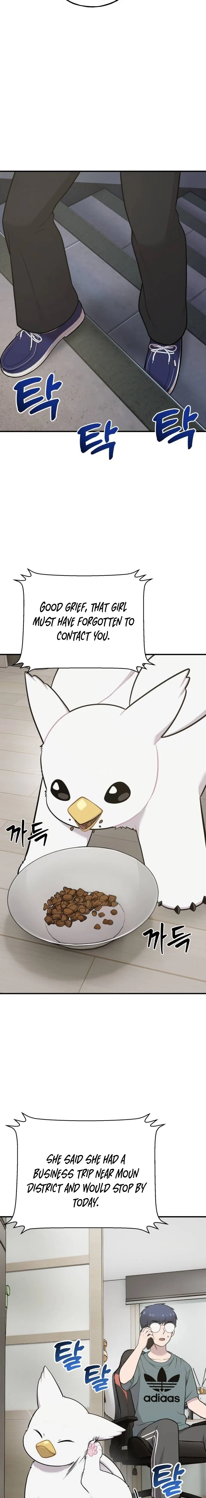 Hello, Fluffy Griffin! Chapter 31 page 6 - 