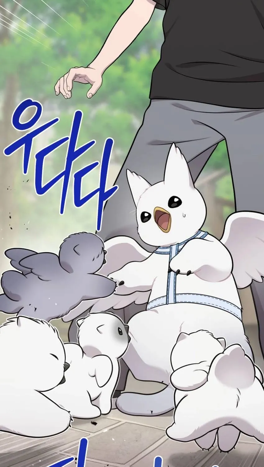 Hello, Fluffy Griffin! Chapter 32 page 102 - 