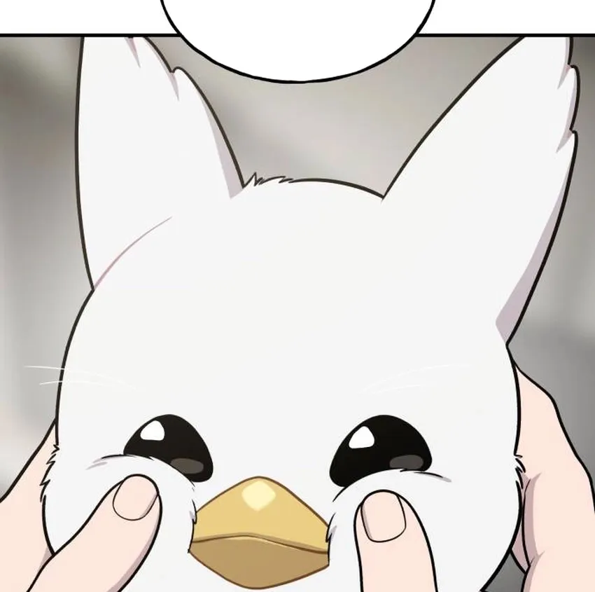 Hello, Fluffy Griffin! Chapter 32 page 25 - 