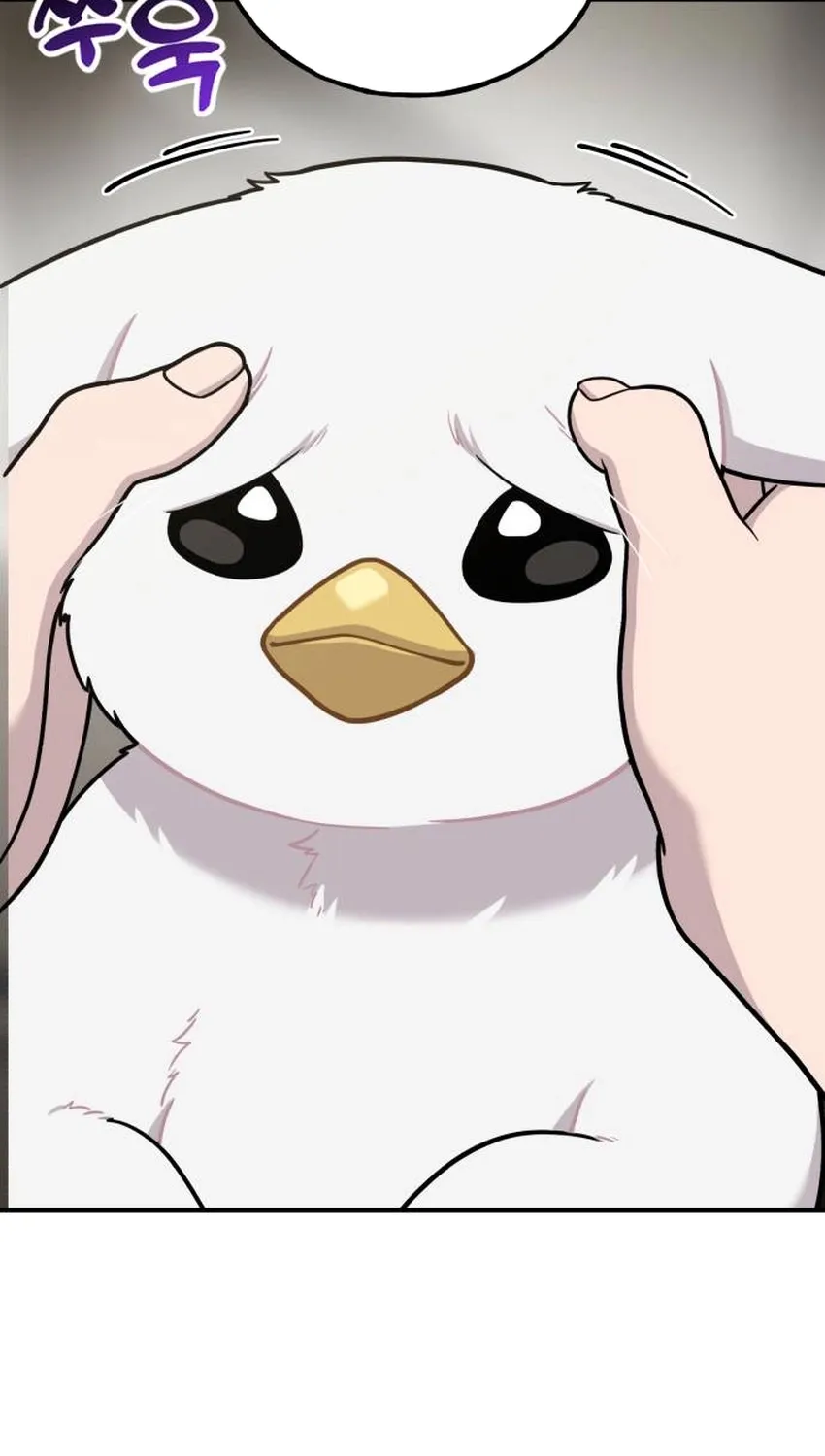 Hello, Fluffy Griffin! Chapter 32 page 27 - 