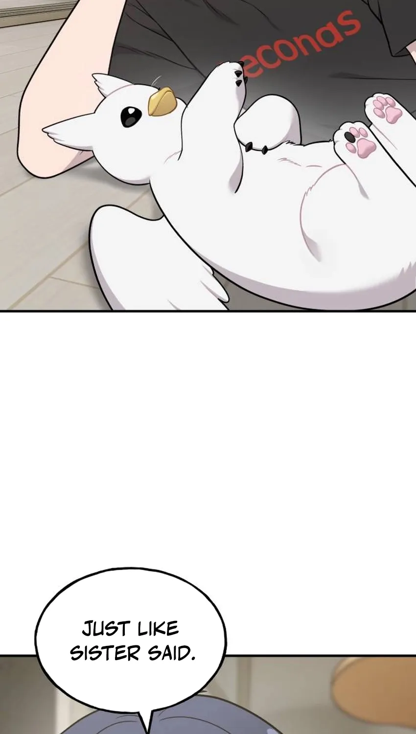 Hello, Fluffy Griffin! Chapter 32 page 43 - 