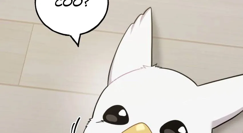 Hello, Fluffy Griffin! Chapter 32 page 45 - 
