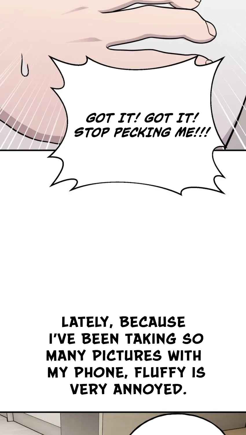 Hello, Fluffy Griffin! Chapter 32 page 7 - 