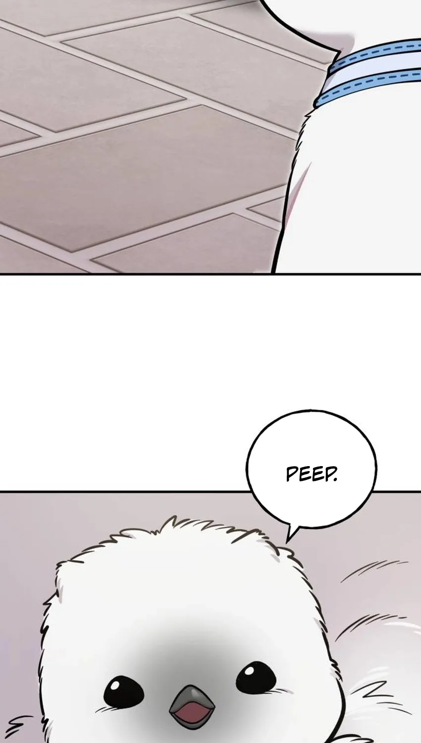 Hello, Fluffy Griffin! Chapter 32 page 98 - 