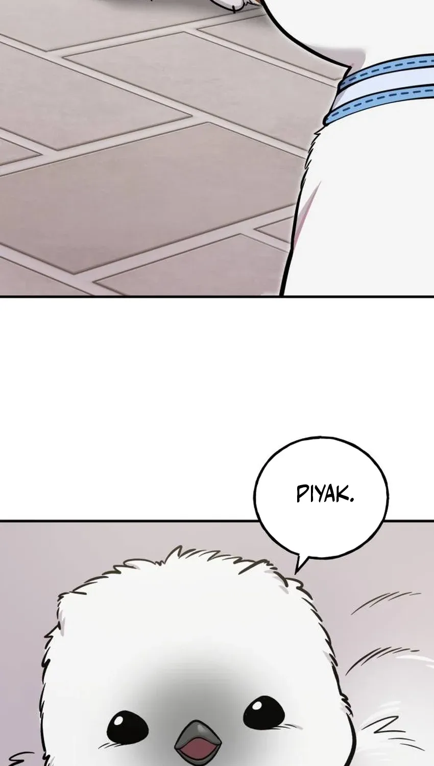 Hello, Fluffy Griffin! Chapter 33 page 3 - 