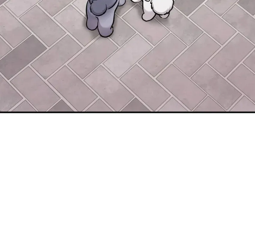 Hello, Fluffy Griffin! Chapter 33 page 35 - 
