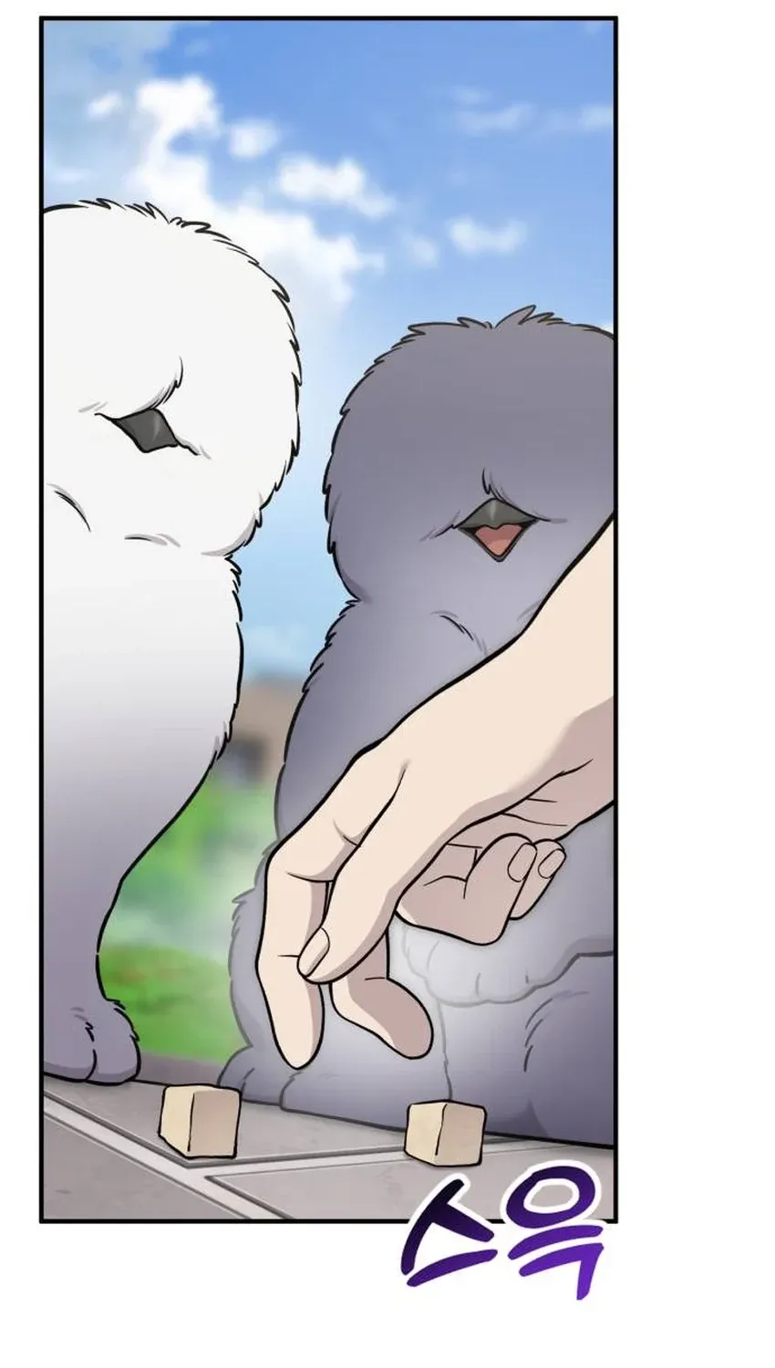 Hello, Fluffy Griffin! Chapter 33 page 44 - 