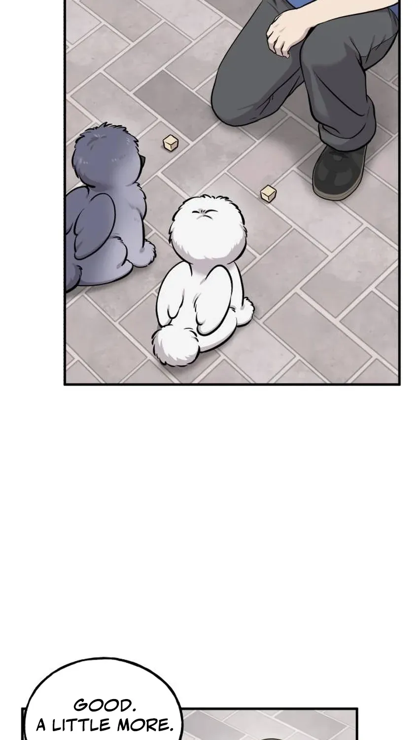Hello, Fluffy Griffin! Chapter 33 page 46 - 