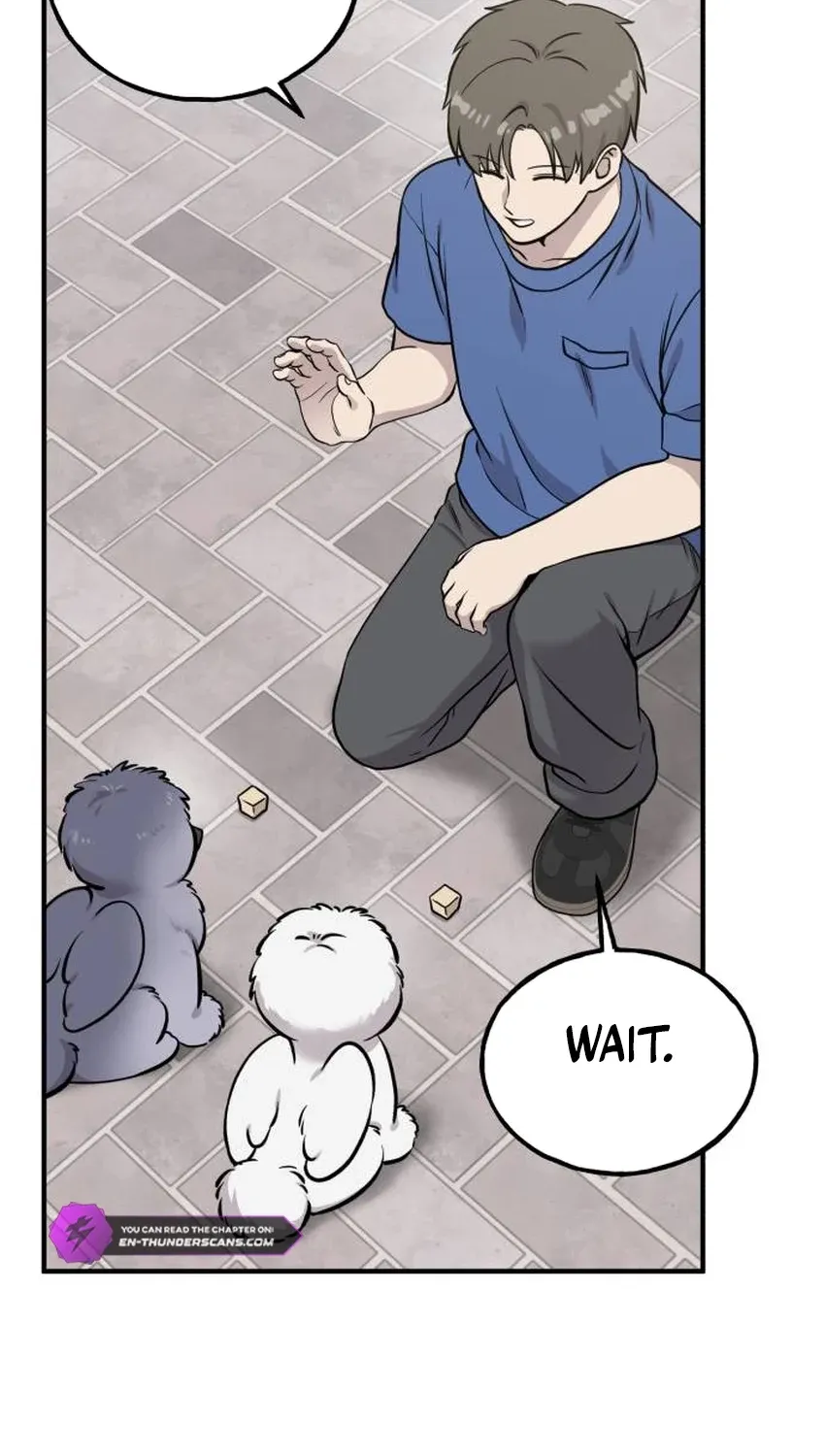 Hello, Fluffy Griffin! Chapter 33 page 47 - 