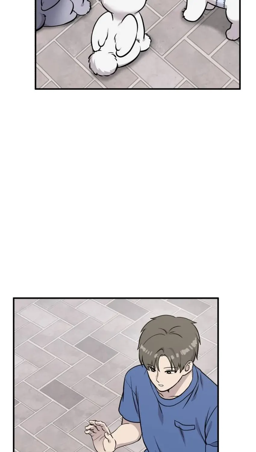 Hello, Fluffy Griffin! Chapter 33 page 49 - 
