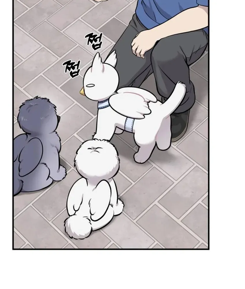 Hello, Fluffy Griffin! Chapter 33 page 50 - 