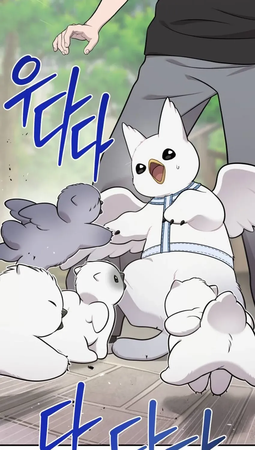 Hello, Fluffy Griffin! Chapter 33 page 7 - 
