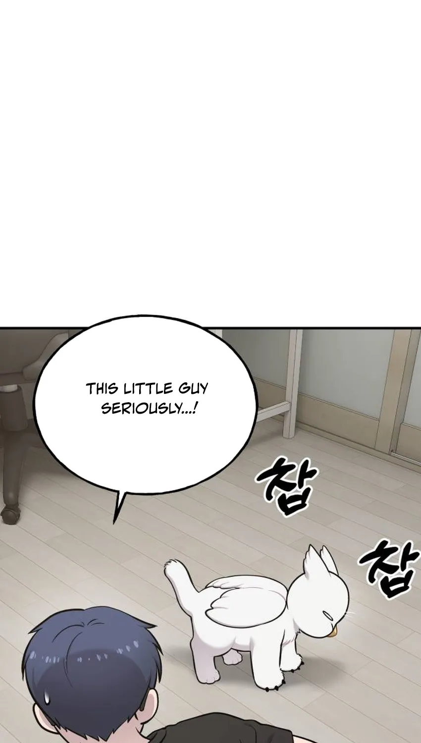 Hello, Fluffy Griffin! Chapter 34 page 11 - 