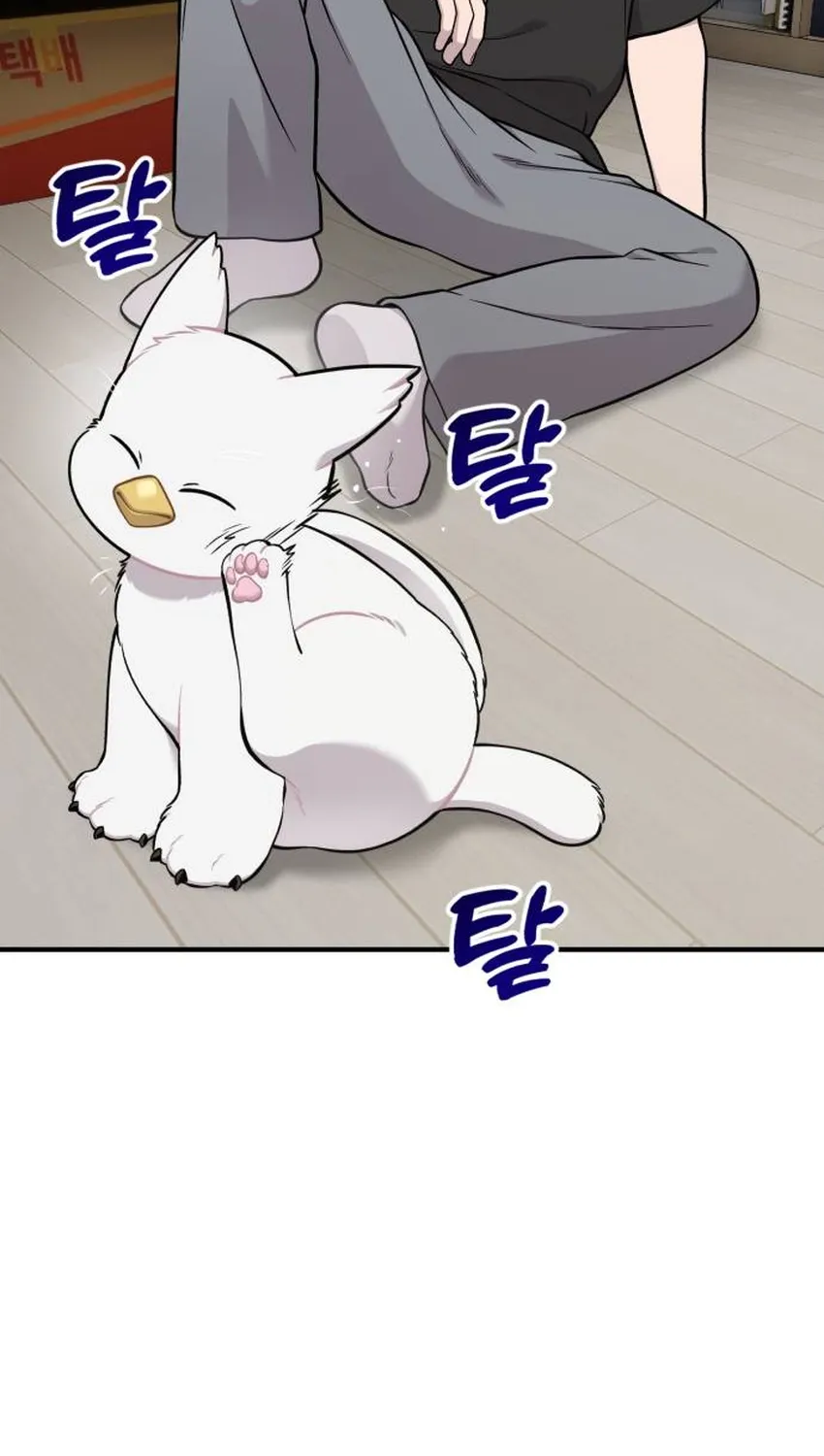 Hello, Fluffy Griffin! Chapter 34 page 14 - 