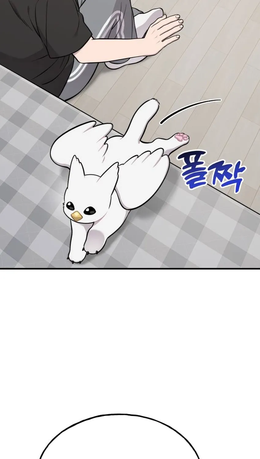 Hello, Fluffy Griffin! Chapter 34 page 19 - 