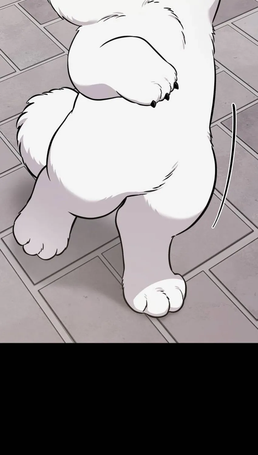 Hello, Fluffy Griffin! Chapter 34 page 33 - 