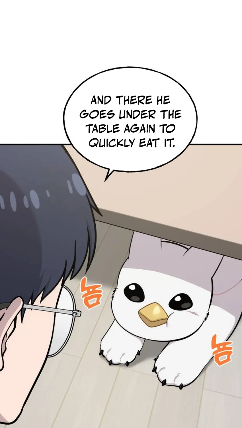 Hello, Fluffy Griffin! Chapter 34 page 50 - 