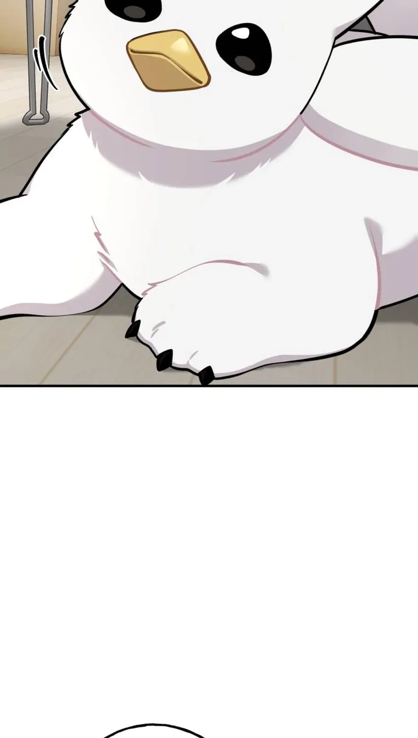 Hello, Fluffy Griffin! Chapter 34 page 53 - 