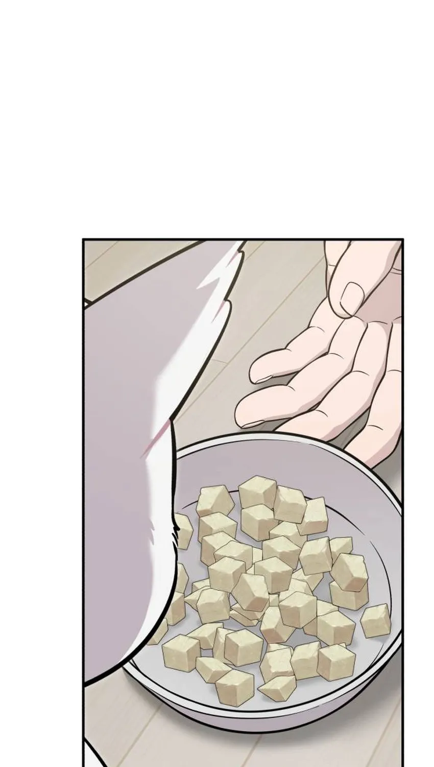 Hello, Fluffy Griffin! Chapter 34 page 62 - 