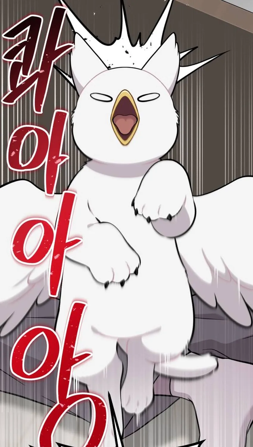 Hello, Fluffy Griffin! Chapter 34 page 68 - 