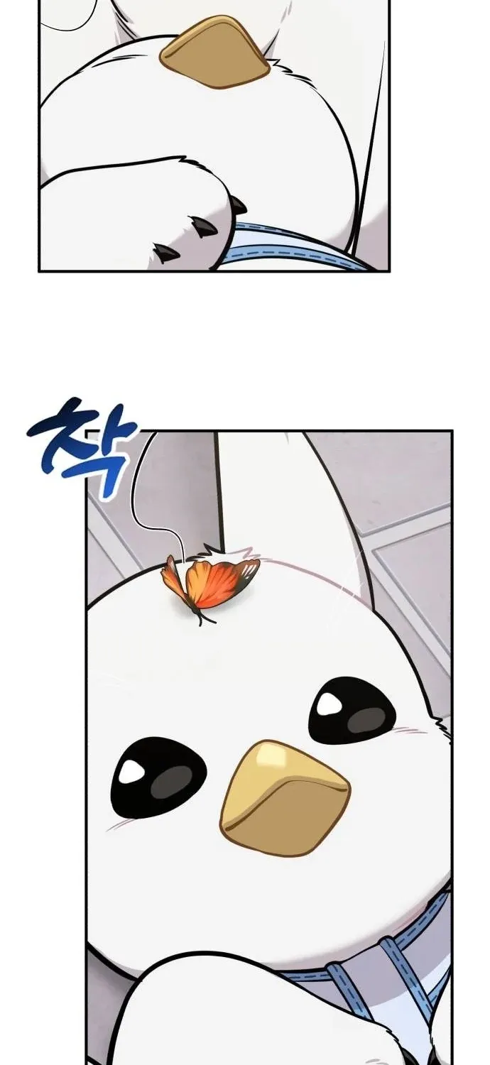 Hello, Fluffy Griffin! Chapter 35 page 13 - 