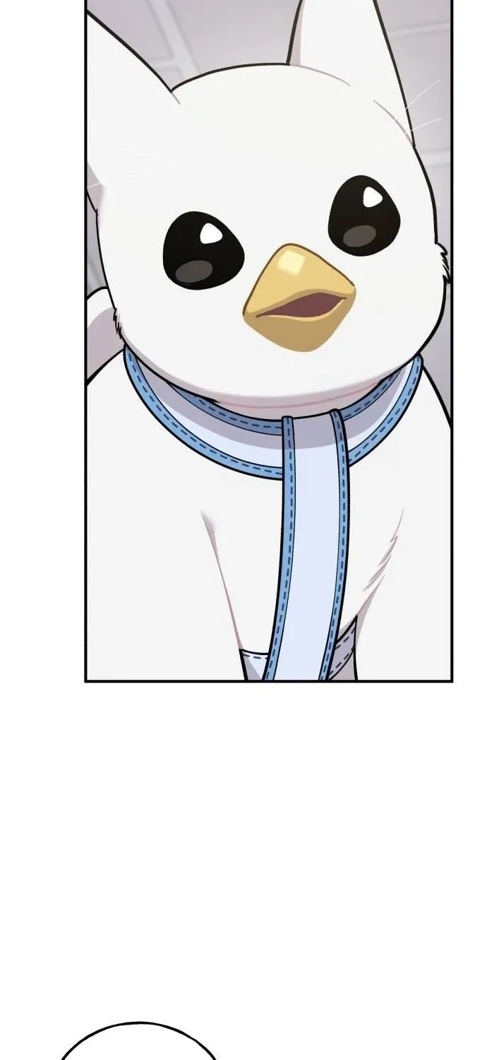 Hello, Fluffy Griffin! Chapter 35 page 3 - 