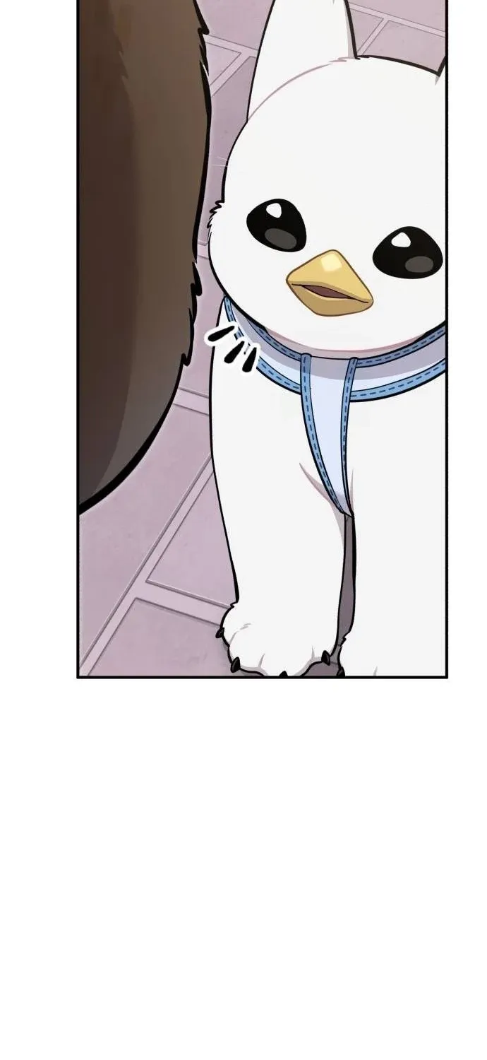 Hello, Fluffy Griffin! Chapter 35 page 38 - 