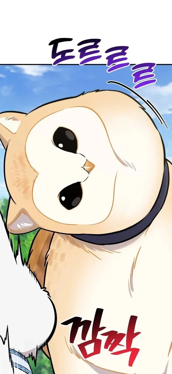 Hello, Fluffy Griffin! Chapter 35 page 41 - 