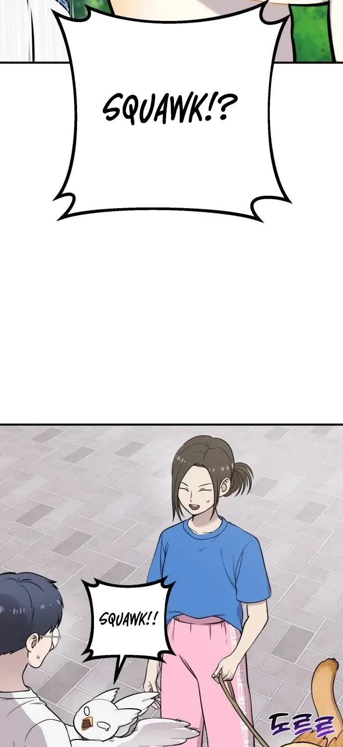 Hello, Fluffy Griffin! Chapter 35 page 42 - 