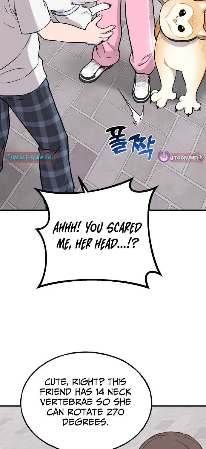 Hello, Fluffy Griffin! Chapter 35 page 43 - 