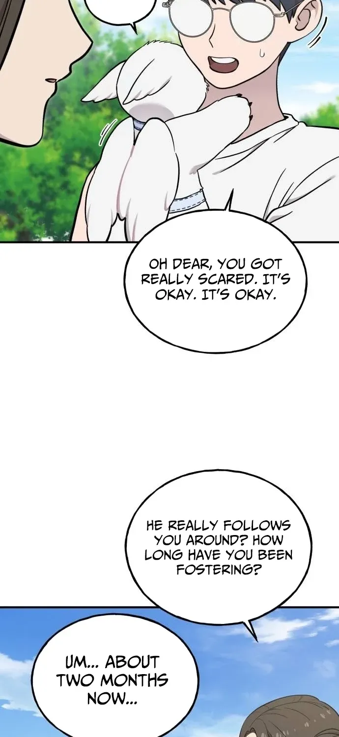 Hello, Fluffy Griffin! Chapter 35 page 46 - 
