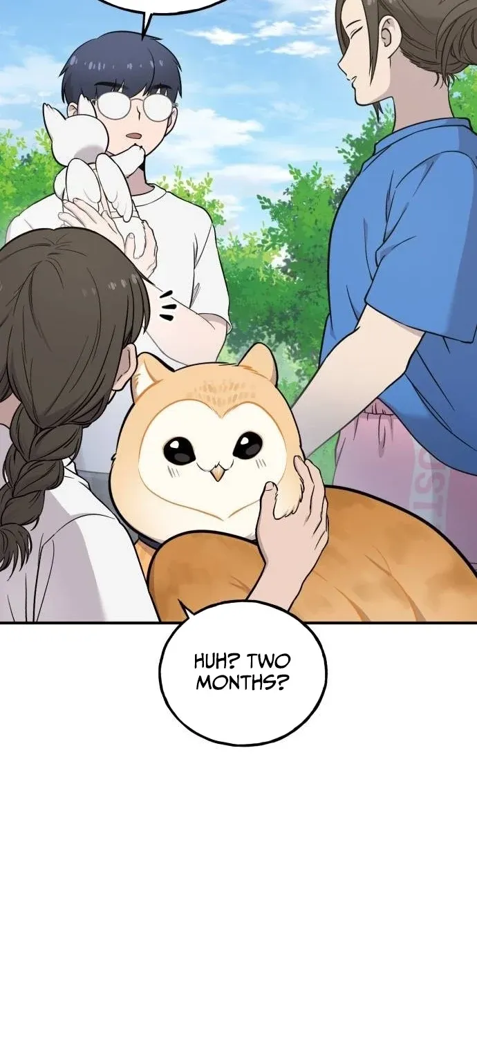 Hello, Fluffy Griffin! Chapter 35 page 47 - 
