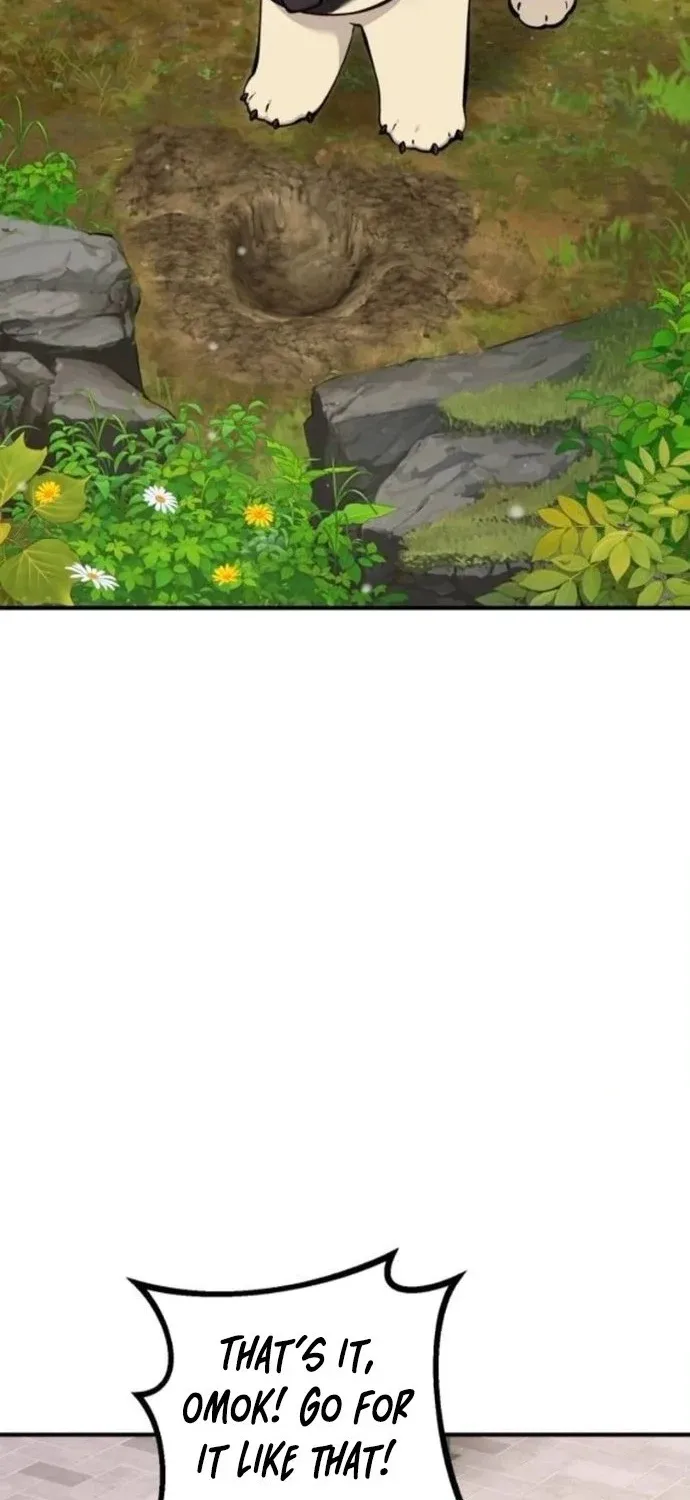 Hello, Fluffy Griffin! Chapter 36 page 17 - 