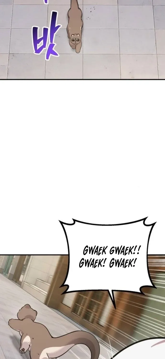 Hello, Fluffy Griffin! Chapter 36 page 31 - 