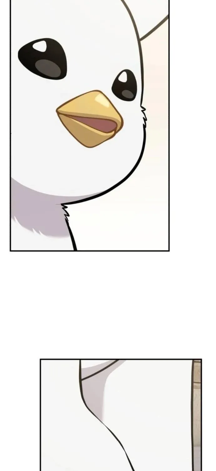 Hello, Fluffy Griffin! Chapter 36 page 61 - 