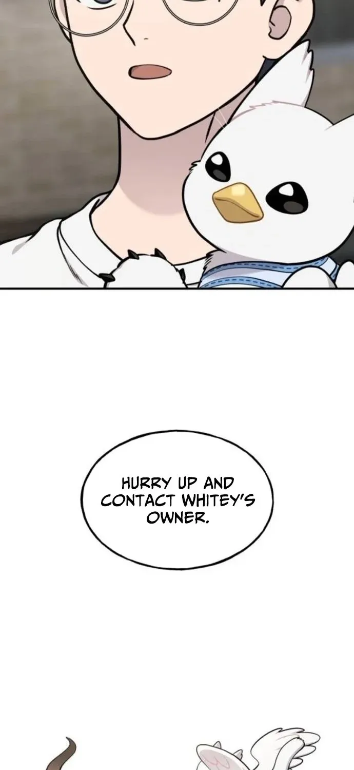 Hello, Fluffy Griffin! Chapter 36 page 69 - 